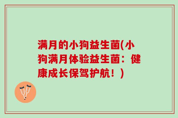 满月的小狗益生菌(小狗满月体验益生菌：健康成长保驾护航！)
