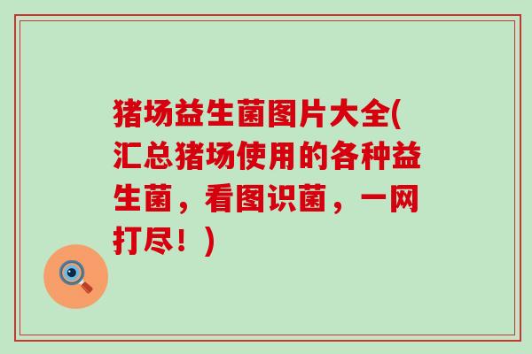 猪场益生菌图片大全(汇总猪场使用的各种益生菌，看图识菌，一网打尽！)