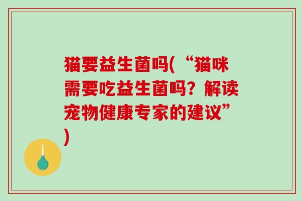猫要益生菌吗(“猫咪需要吃益生菌吗？解读宠物健康专家的建议”)