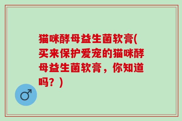 猫咪酵母益生菌软膏(买来保护爱宠的猫咪酵母益生菌软膏，你知道吗？)