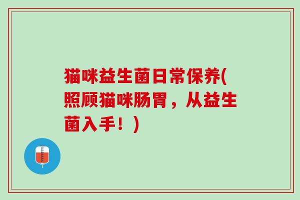 猫咪益生菌日常保养(照顾猫咪肠胃，从益生菌入手！)