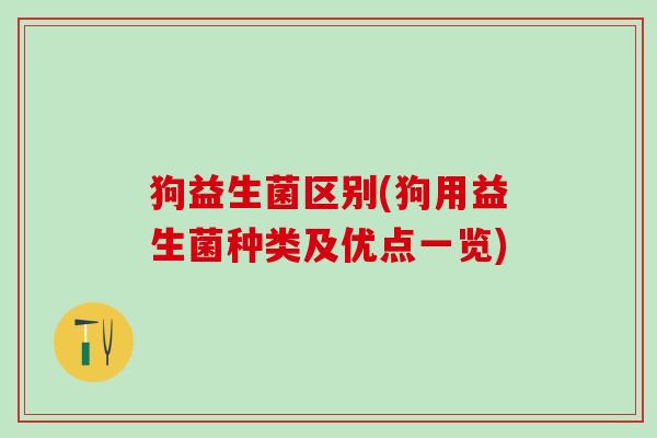 狗益生菌区别(狗用益生菌种类及优点一览)