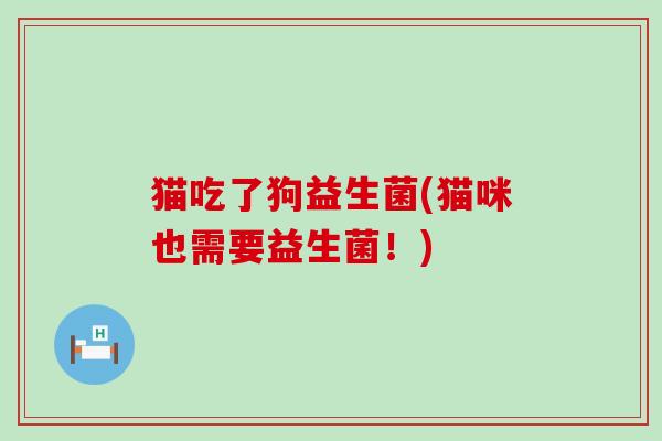 猫吃了狗益生菌(猫咪也需要益生菌！)