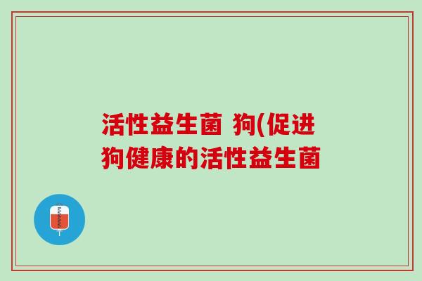 活性益生菌 狗(促进狗健康的活性益生菌