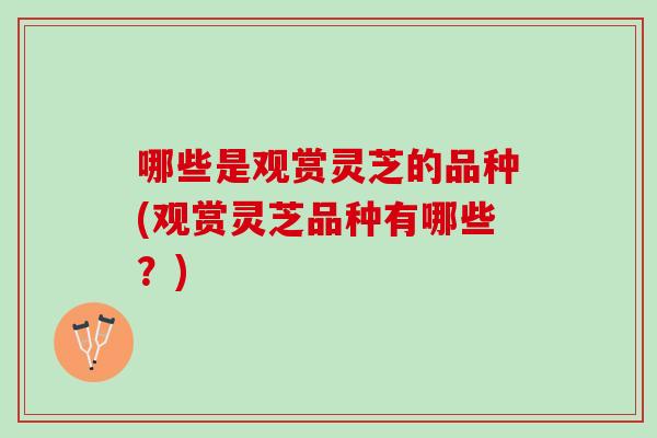 哪些是观赏灵芝的品种(观赏灵芝品种有哪些？)