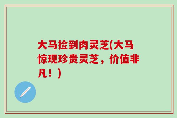 大马捡到肉灵芝(大马惊现珍贵灵芝，价值非凡！)