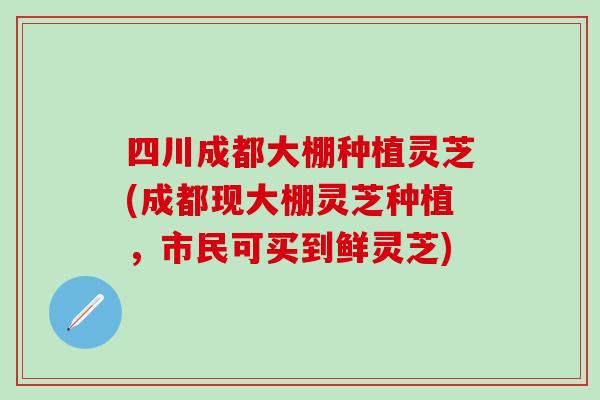 四川成都大棚种植灵芝(成都现大棚灵芝种植，市民可买到鲜灵芝)