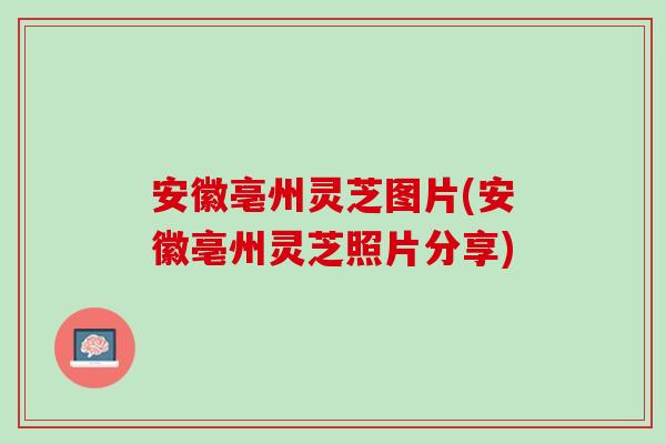 安徽亳州灵芝图片(安徽亳州灵芝照片分享)
