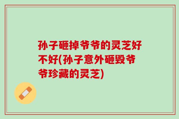孙子砸掉爷爷的灵芝好不好(孙子意外砸毁爷爷珍藏的灵芝)