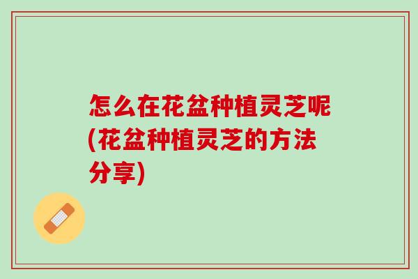 怎么在花盆种植灵芝呢(花盆种植灵芝的方法分享)