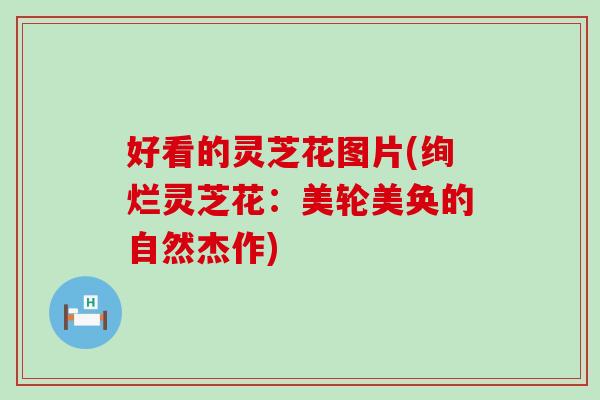 好看的灵芝花图片(绚烂灵芝花：美轮美奂的自然杰作)