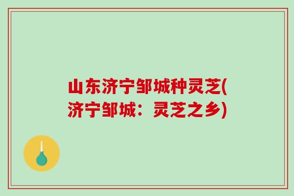 山东济宁邹城种灵芝(济宁邹城：灵芝之乡)