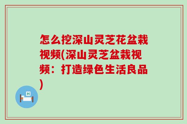 怎么挖深山灵芝花盆栽视频(深山灵芝盆栽视频：打造绿色生活良品)