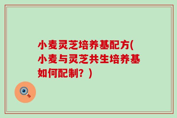 小麦灵芝培养基配方(小麦与灵芝共生培养基如何配制？)