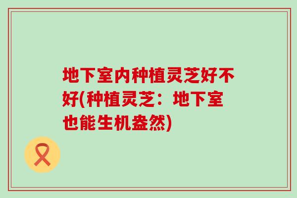 地下室内种植灵芝好不好(种植灵芝：地下室也能生机盎然)