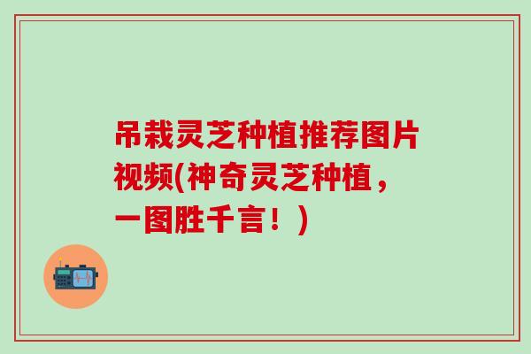 吊栽灵芝种植推荐图片视频(神奇灵芝种植，一图胜千言！)