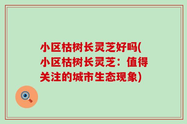 小区枯树长灵芝好吗(小区枯树长灵芝：值得关注的城市生态现象)
