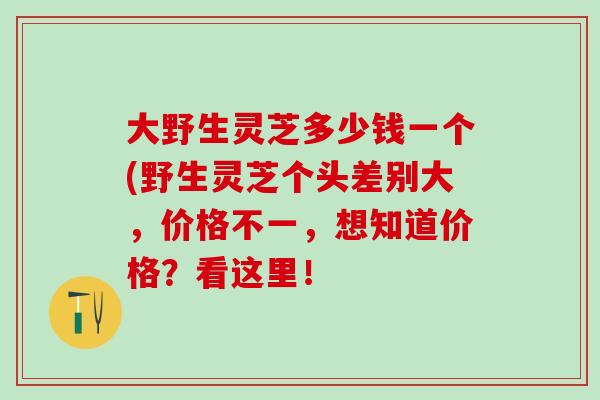 大野生灵芝多少钱一个(野生灵芝个头差别大，价格不一，想知道价格？看这里！