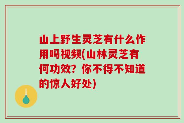 山上野生灵芝有什么作用吗视频(山林灵芝有何功效？你不得不知道的惊人好处)
