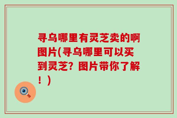寻乌哪里有灵芝卖的啊图片(寻乌哪里可以买到灵芝？图片带你了解！)