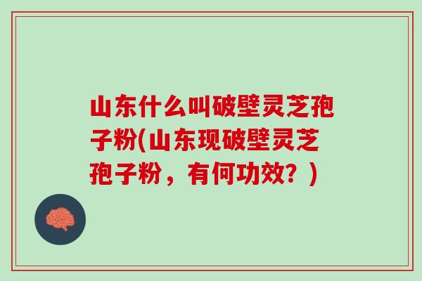 山东什么叫破壁灵芝孢子粉(山东现破壁灵芝孢子粉，有何功效？)