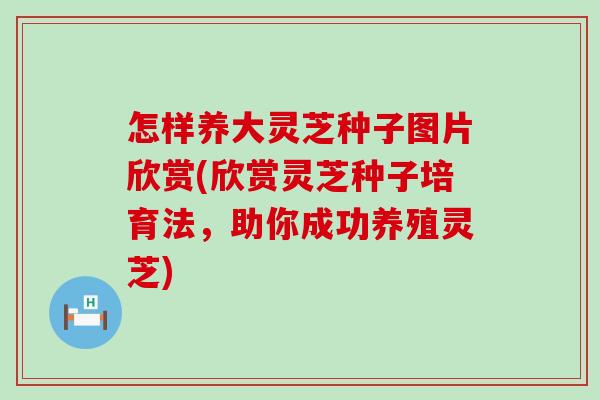 怎样养大灵芝种子图片欣赏(欣赏灵芝种子培育法，助你成功养殖灵芝)