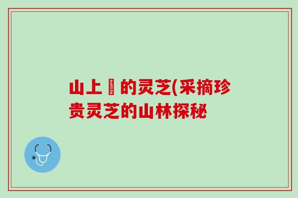 山上釆的灵芝(采摘珍贵灵芝的山林探秘