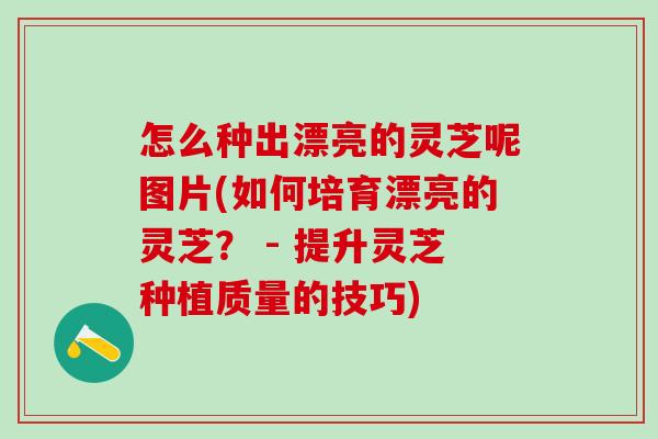 怎么种出漂亮的灵芝呢图片(如何培育漂亮的灵芝？ - 提升灵芝种植质量的技巧)