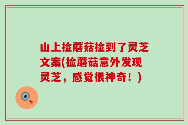 山上捡蘑菇捡到了灵芝文案(捡蘑菇意外发现灵芝，感觉很神奇！)