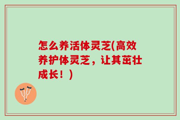 怎么养活体灵芝(高效养护体灵芝，让其茁壮成长！)