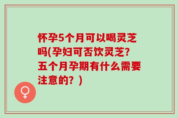怀孕5个月可以喝灵芝吗(孕妇可否饮灵芝？五个月孕期有什么需要注意的？)