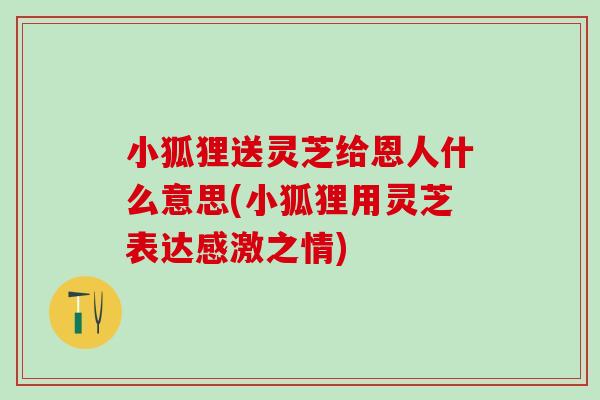 小狐狸送灵芝给恩人什么意思(小狐狸用灵芝表达感激之情)