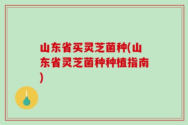 山东省买灵芝菌种(山东省灵芝菌种种植指南)