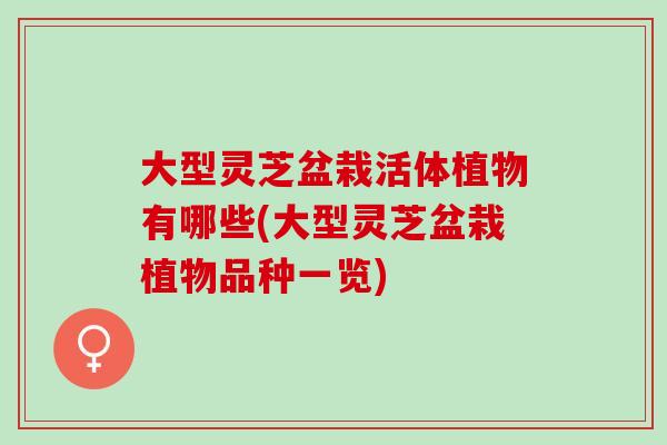 大型灵芝盆栽活体植物有哪些(大型灵芝盆栽植物品种一览)