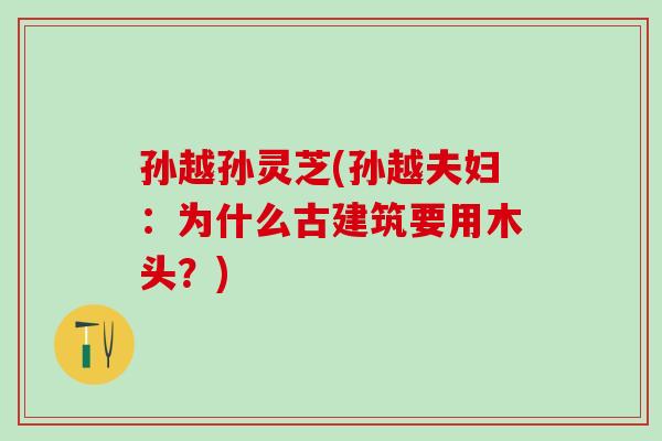 孙越孙灵芝(孙越夫妇：为什么古建筑要用木头？)