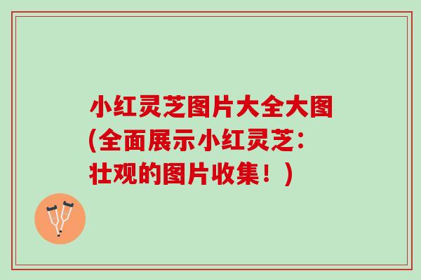 小红灵芝图片大全大图(全面展示小红灵芝：壮观的图片收集！)