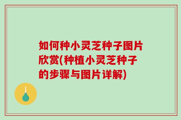 如何种小灵芝种子图片欣赏(种植小灵芝种子的步骤与图片详解)