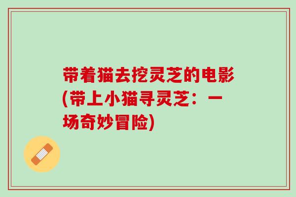 带着猫去挖灵芝的电影(带上小猫寻灵芝：一场奇妙冒险)