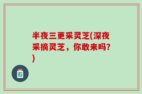 半夜三更采灵芝(深夜采摘灵芝，你敢来吗？)