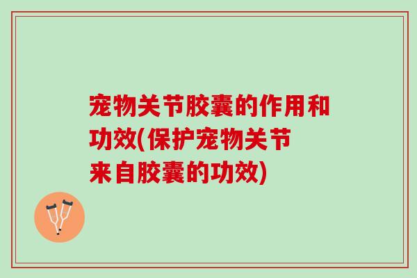 宠物关节胶囊的作用和功效(保护宠物关节 来自胶囊的功效)