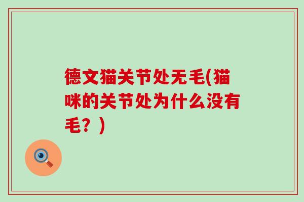 德文猫关节处无毛(猫咪的关节处为什么没有毛？)