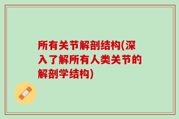 所有关节解剖结构(深入了解所有人类关节的解剖学结构)
