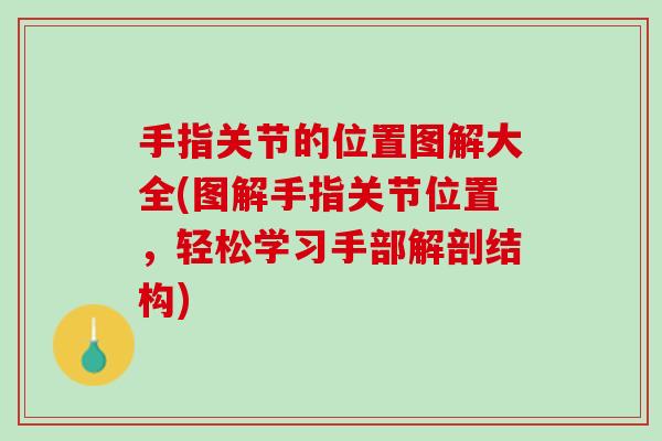 手指关节的位置图解大全(图解手指关节位置，轻松学习手部解剖结构)