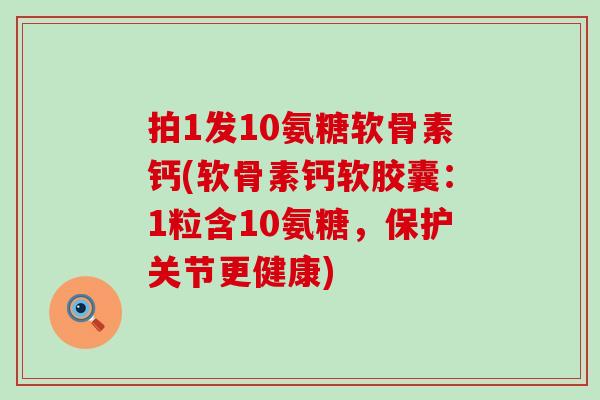 拍1发10氨糖软骨素钙(软骨素钙软胶囊：1粒含10氨糖，保护关节更健康)
