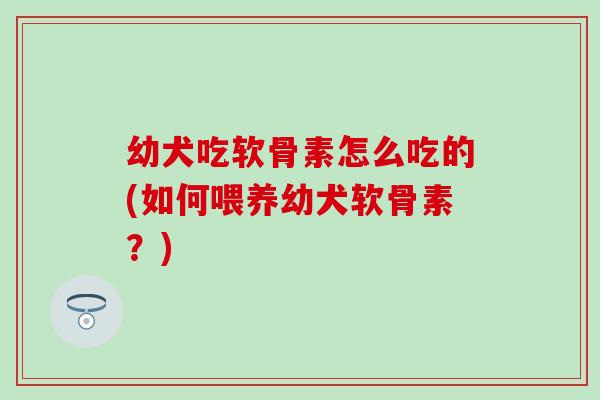 幼犬吃软骨素怎么吃的(如何喂养幼犬软骨素？)