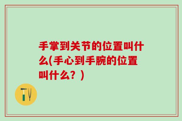 手掌到关节的位置叫什么(手心到手腕的位置叫什么？)
