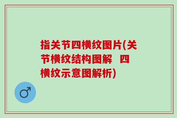 指关节四横纹图片(关节横纹结构图解  四横纹示意图解析)