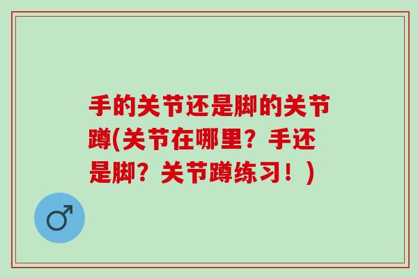 手的关节还是脚的关节蹲(关节在哪里？手还是脚？关节蹲练习！)