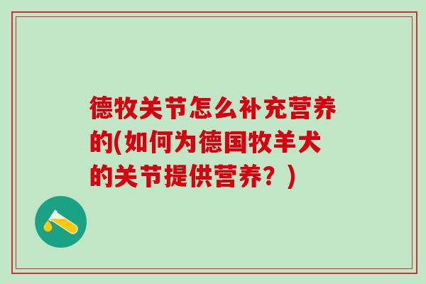 德牧关节怎么补充营养的(如何为德国牧羊犬的关节提供营养？)