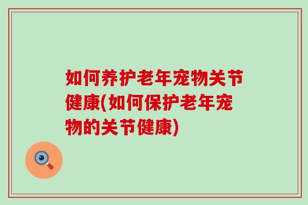 如何养护老年宠物关节健康(如何保护老年宠物的关节健康)